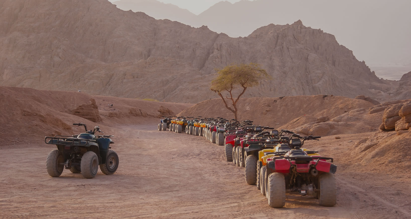 Desert ATVs