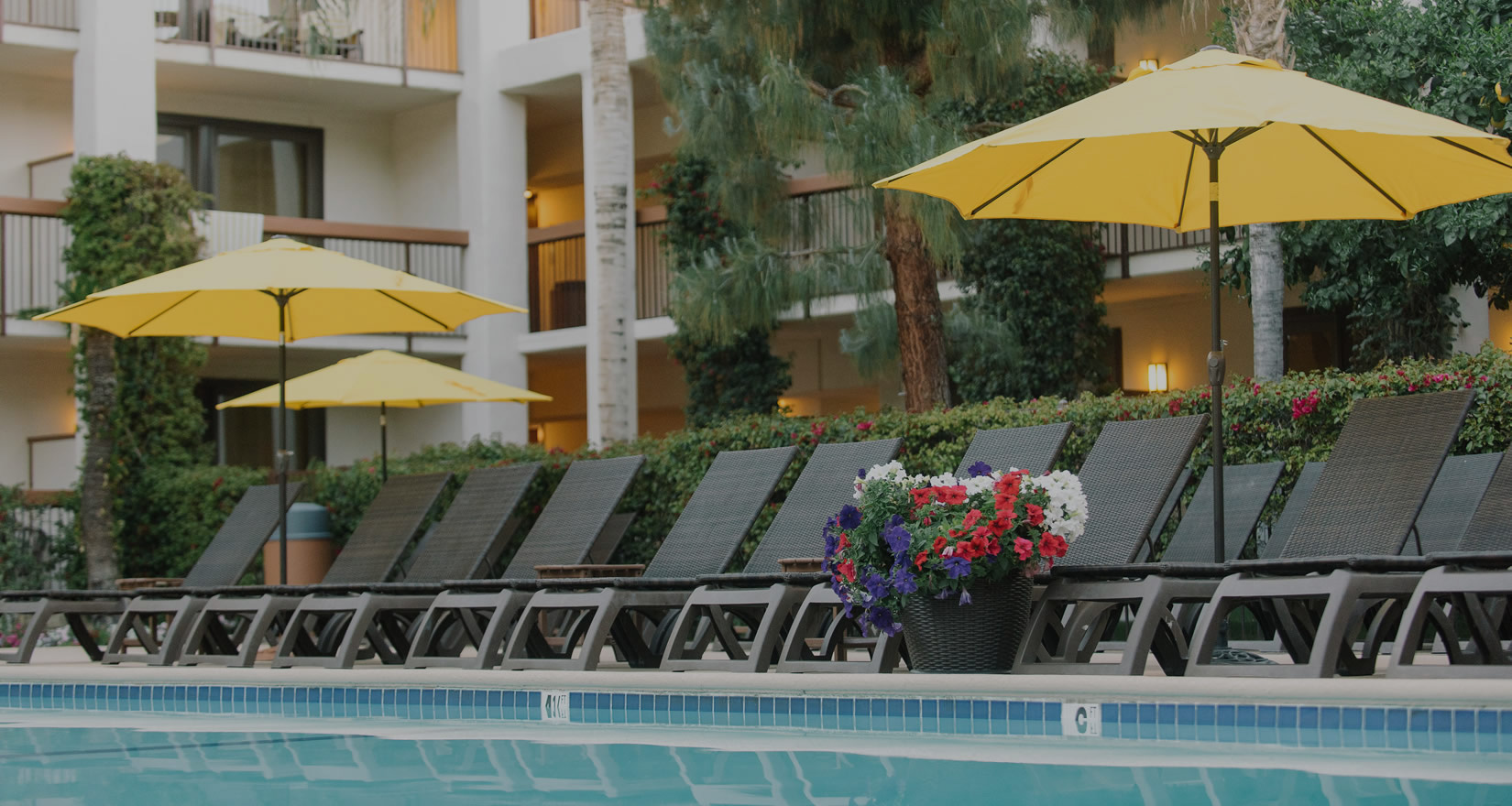 Palm Mountain Resort & Spa pool