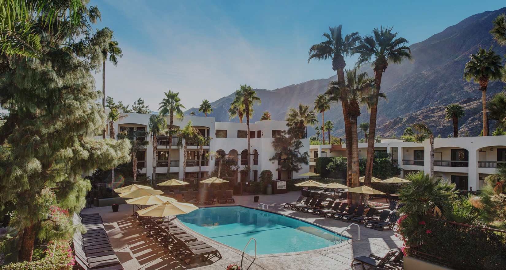 Day Spa Palm Springs Treatments  Spa Hotel Palm Springs 