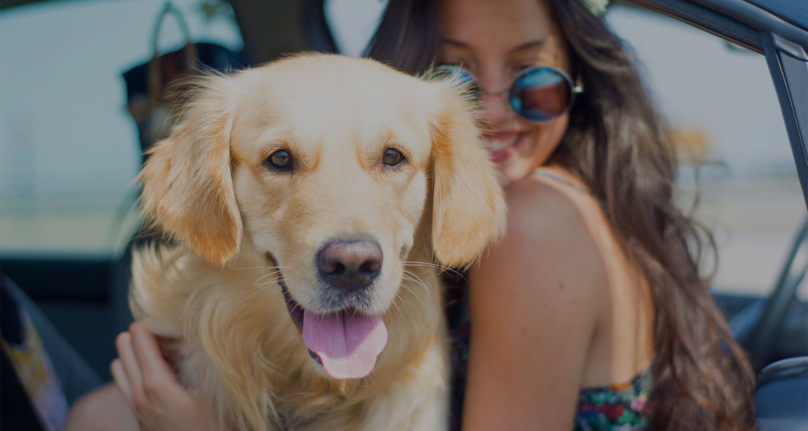 woman and dog in car