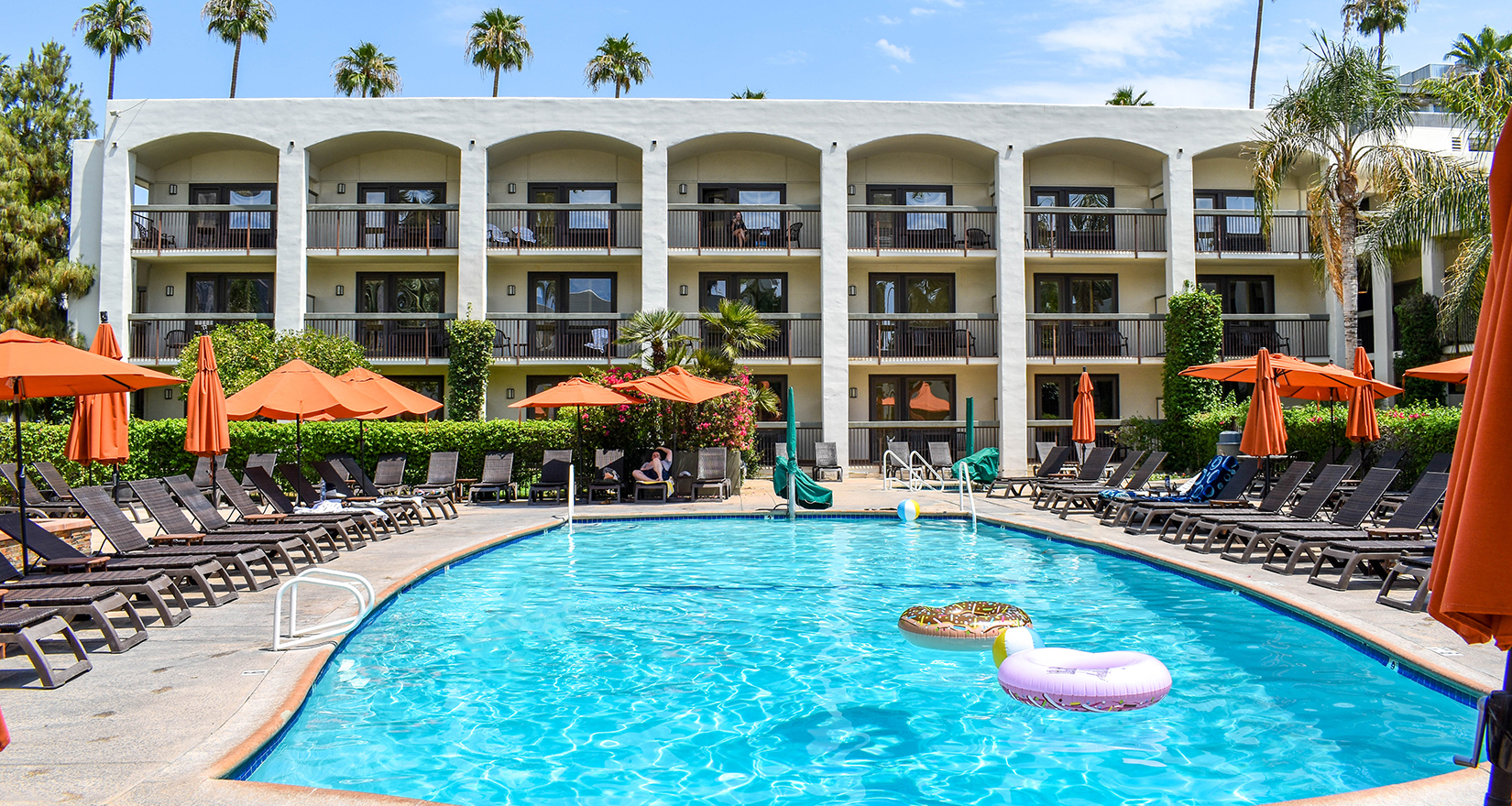 Palm Mountain Pool