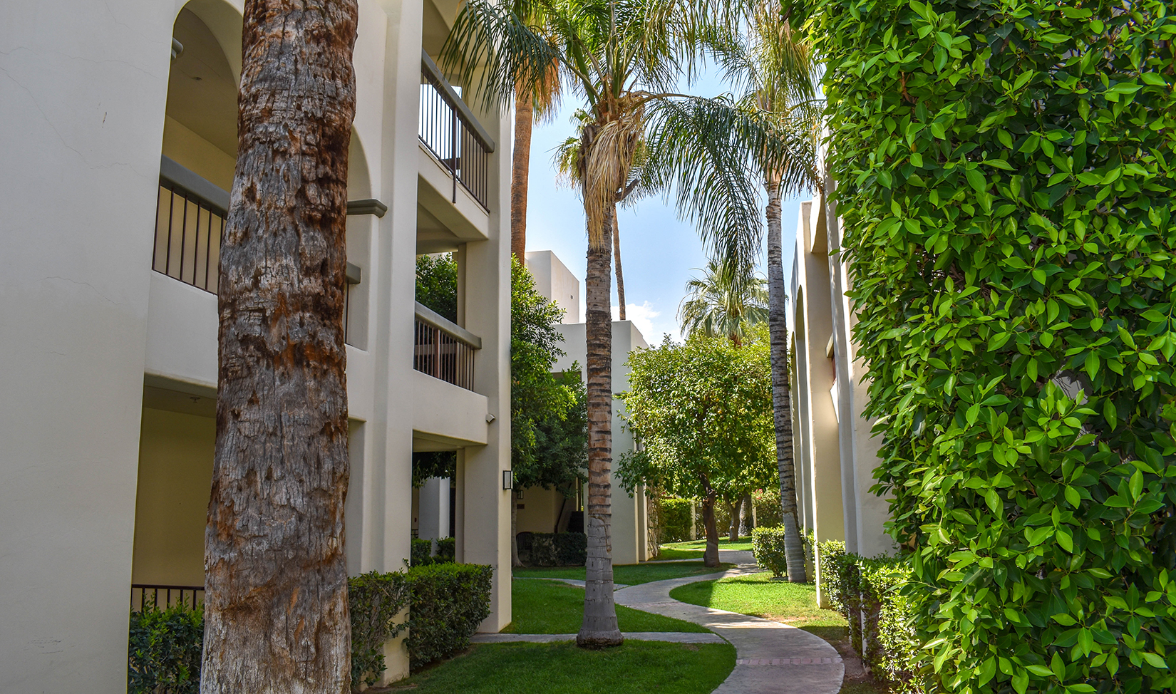 Palm Mountain shade and walkway