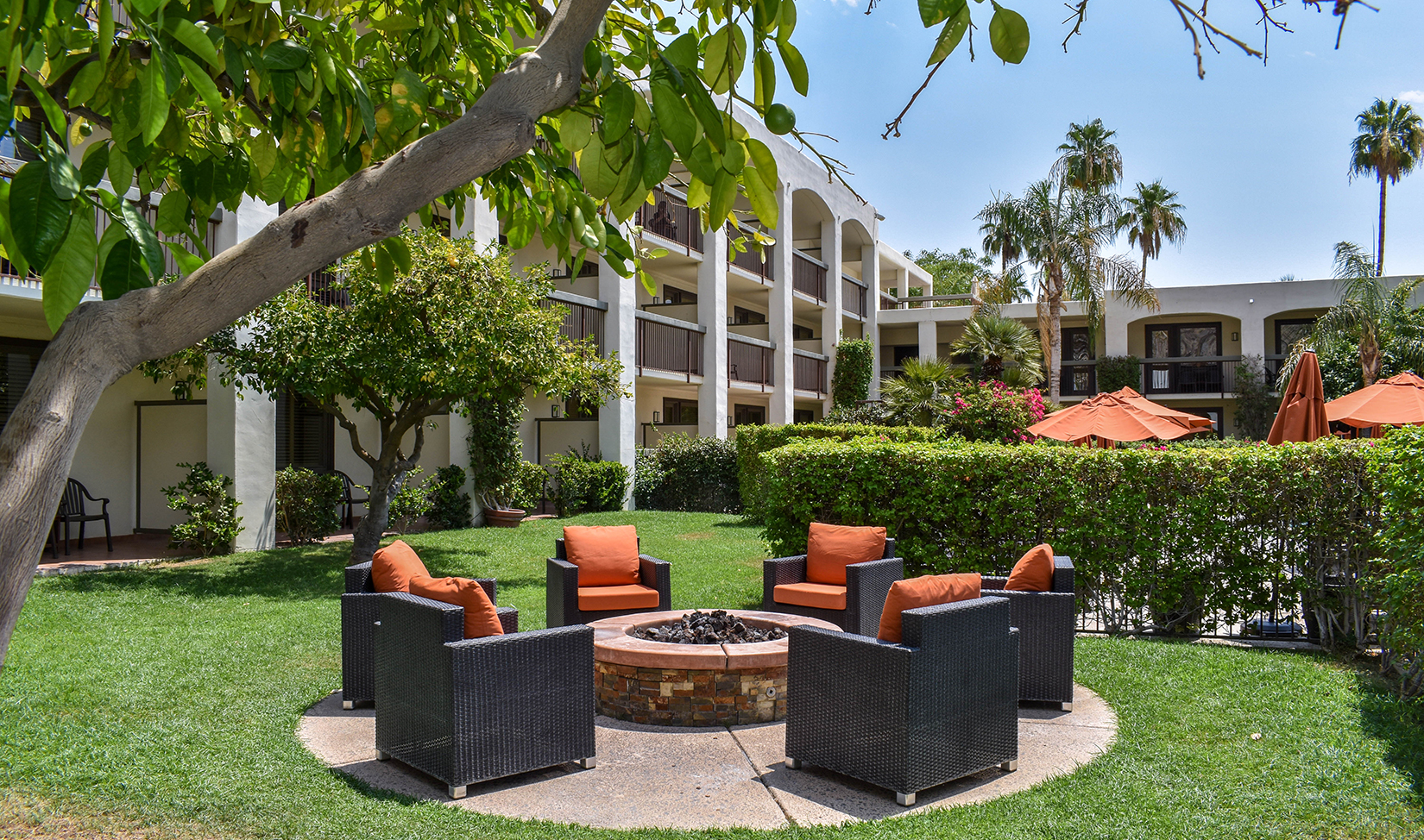 Palm Mountain tress and fire pits