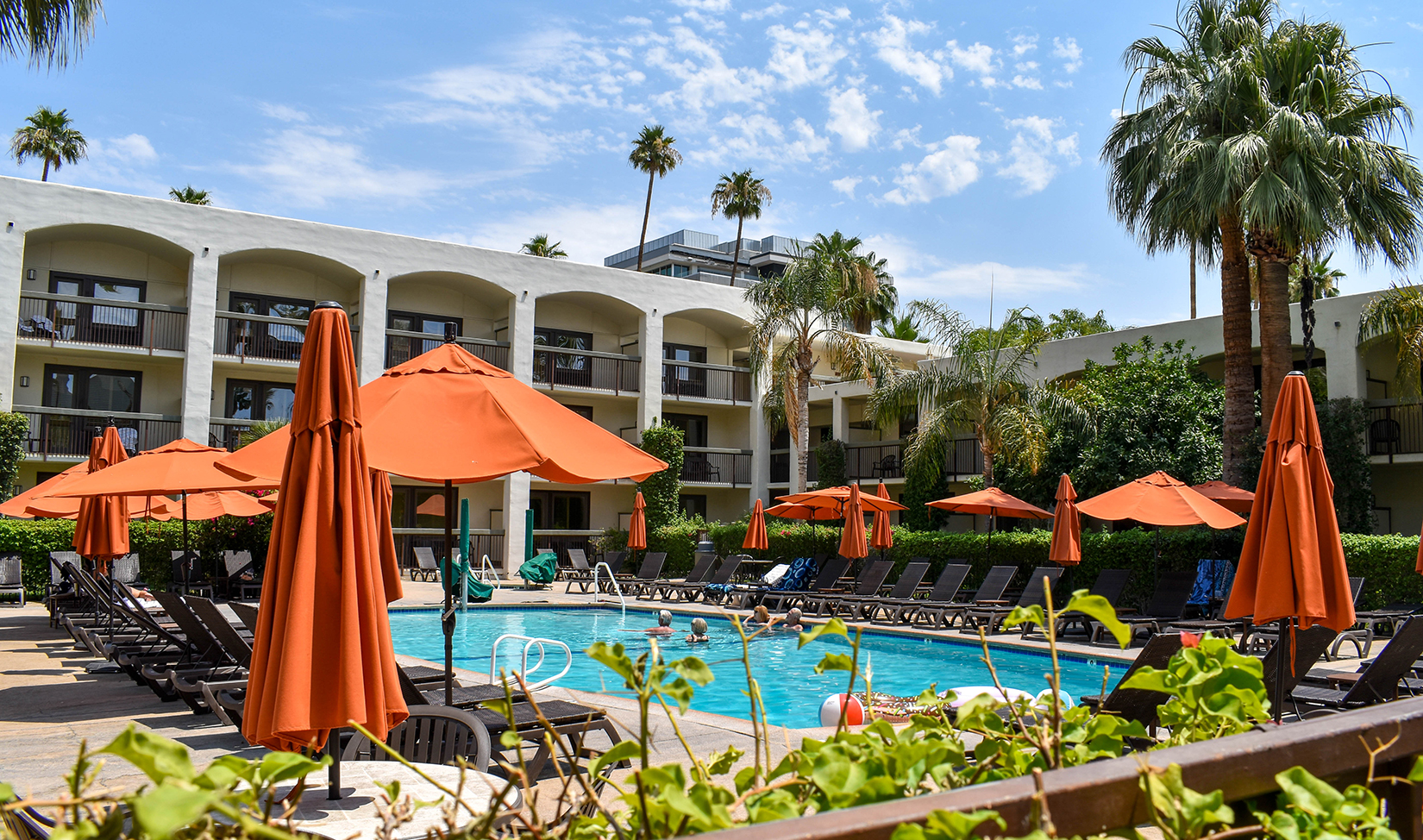 Palm Mountain pool grounds