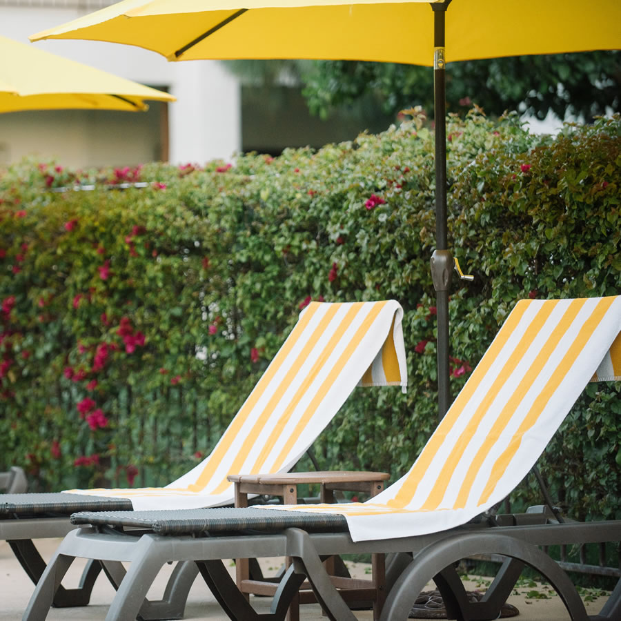 pool chairs