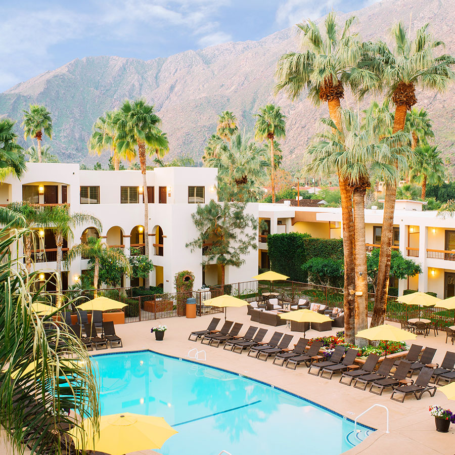 Palm Springs Hotel Deals | Palm Springs Lodging | Palm Mountain Resort