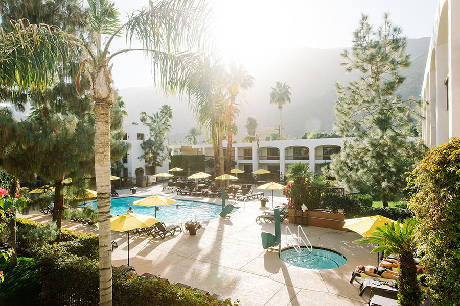 Palm Mountain sunny pool