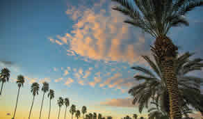 Palm Mountain