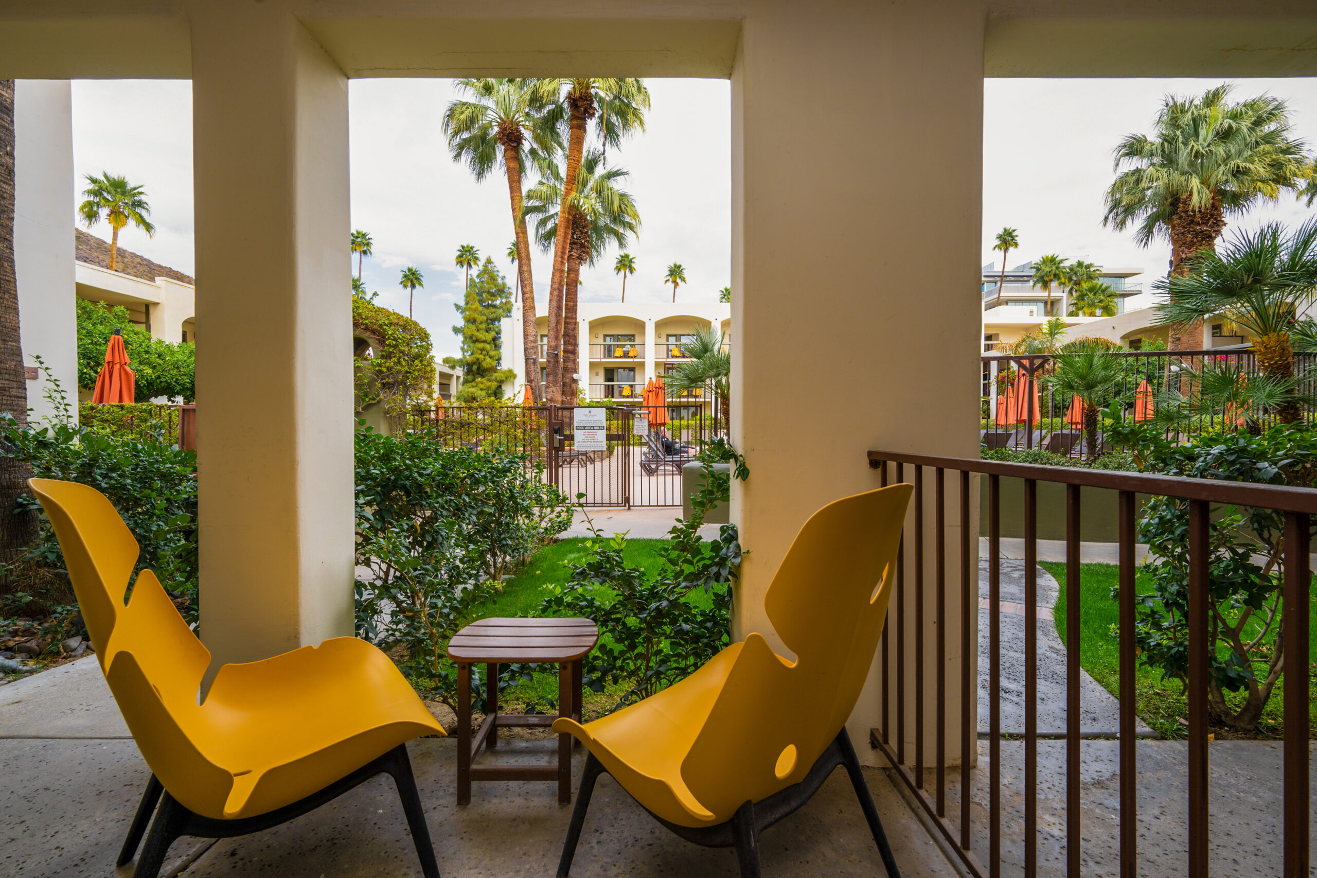 Warm Wishes in Palm Springs