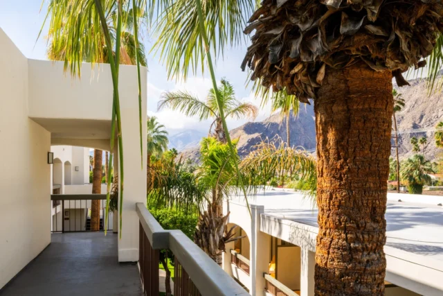 Wherever you look, you'll find stunning views of Palm Springs 🌴☀️