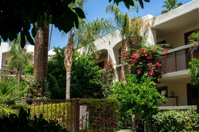 A true hidden oasis, surrounded by lush greenery in the heart of Palm Springs. 🌿