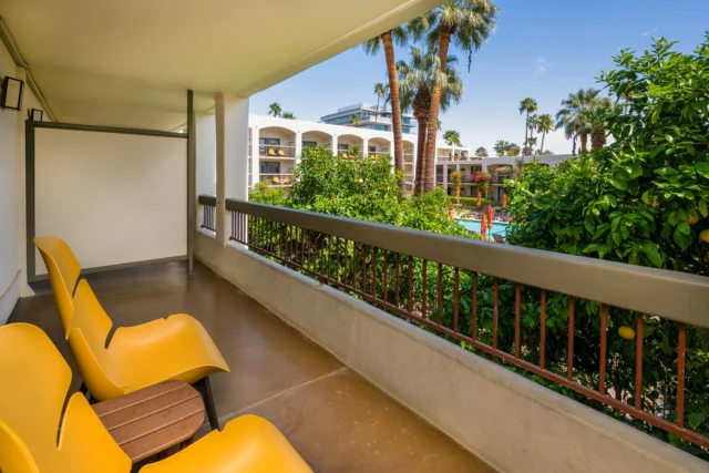 The hardest decision you'll make today? Whether to head to the pool… or enjoy the view just a little longer. 🌴
