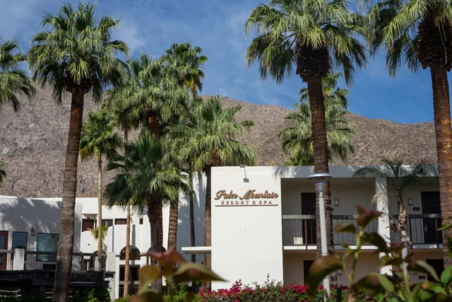 Nestled among swaying palm trees, your Palm Springs escape begins the moment you arrive. 🌴