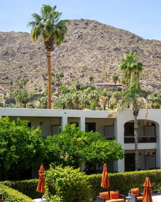 Views like these are what Palm Springs dreams are made of. 🌴☀️ Take in the mountain views, soak up the sunshine, and settle into the desert beauty.